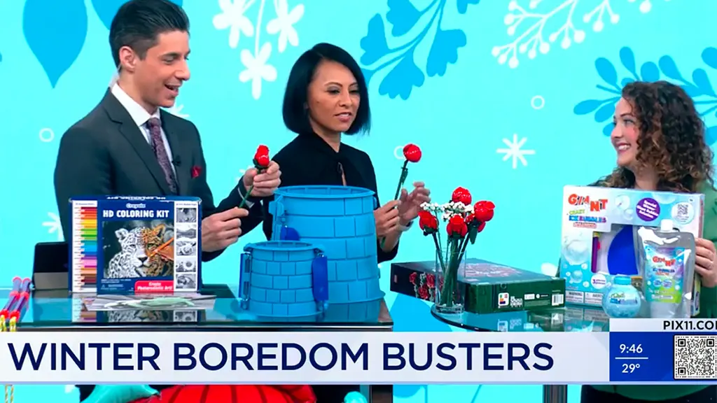 You are currently viewing Winter Boredom Busters on PIX 11 New York